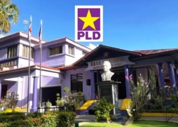 PLD alerta sobre crisis en sector avícola: productores enfrentan pérdidas y consumidores pagan precios más altos